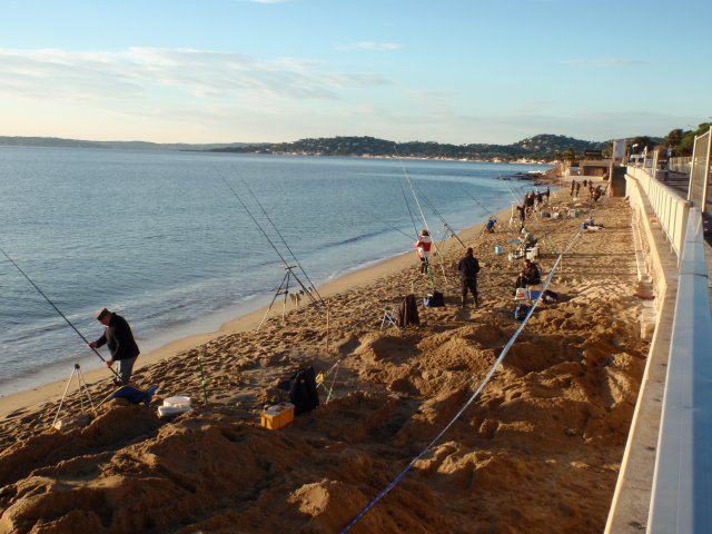 surfcasting du 28 11 2015