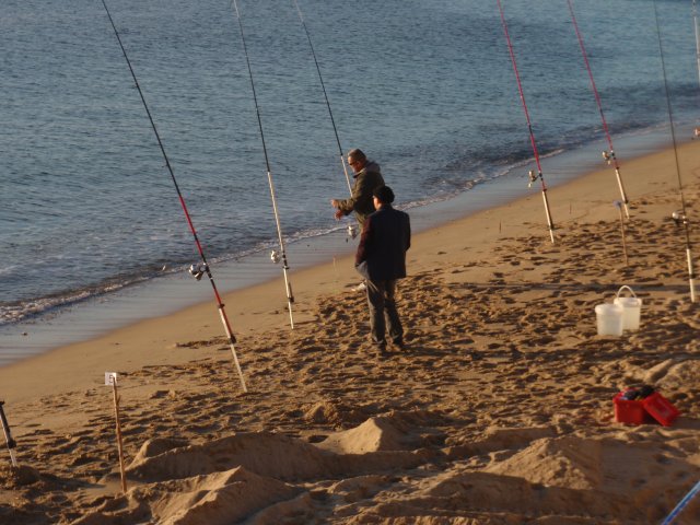 surfcasting du 28 11 2015